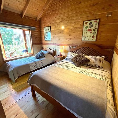Hostal Pucon Sur Luaran gambar